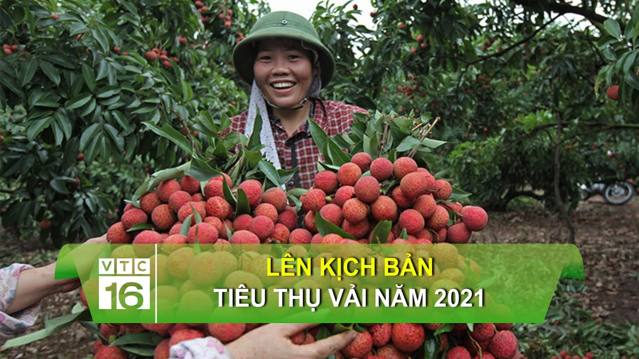Xu hướng 3 kiểu giày 