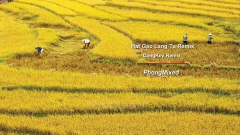 Hotspot Matrix và Hết Hà Tăng, tới dàn 