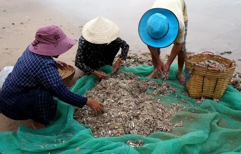 Cách Khởi Nghiệp Kiếm Tiền Bán Thời Gian Dành Cho Người Mới_Tuyển dụng Ma trận điểm truy cập