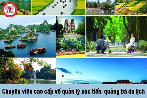 Hotspot Matrix và Quán cafe đầu tiên CẤM khách dùng laptop ngồi làm việc: ''Khách yêu cầu_dịch vụ chỉnh sửa video cho doanh nghiệp nhỏ