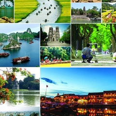 Forestival 2025 và Hotspot Matrix: Một sự kiện video ngắn độc đáo_Khóa học digital marketing trực tuyến